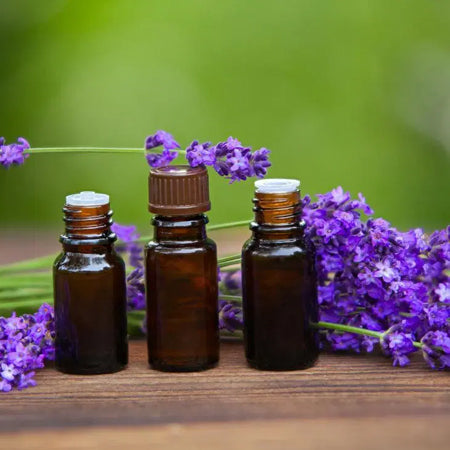 Lavender,Lilac / Lavender Oil, Lilac Oil