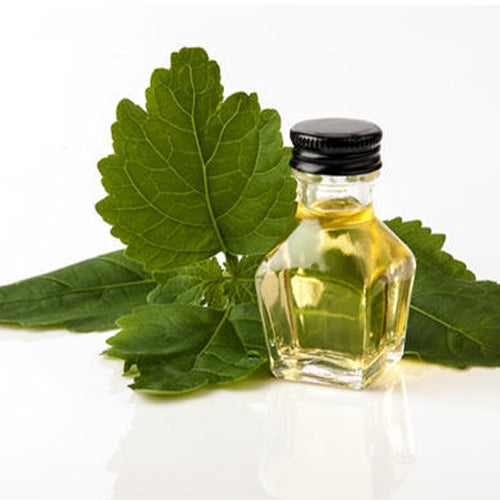 Patchouli/Patchouli Oil