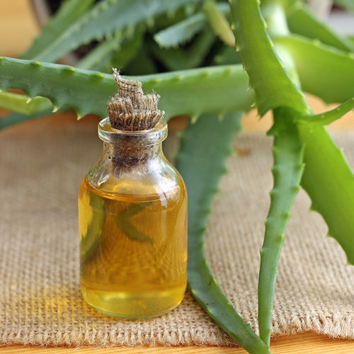 Aloe Vera/Alove Vera Oil