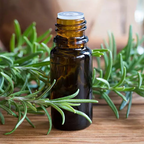 Rosemary/Rosemary Oil