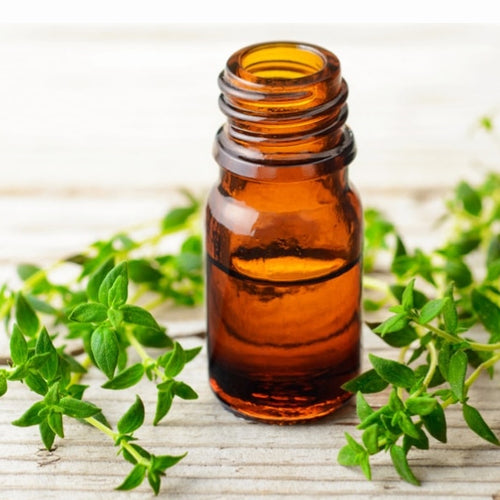 Thyme/Thyme Oil